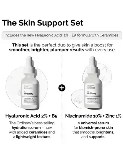 Niacinamide 10% Zinc 1% + Hyaluronic Acid 2% + B5 Combo
